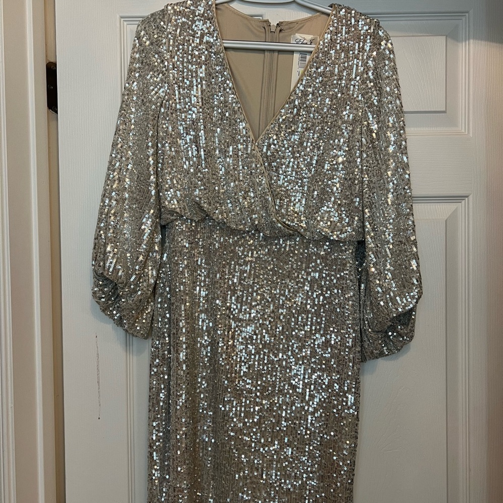 Beautiful sequin dress